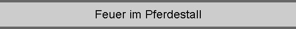 Feuer im Pferdestall